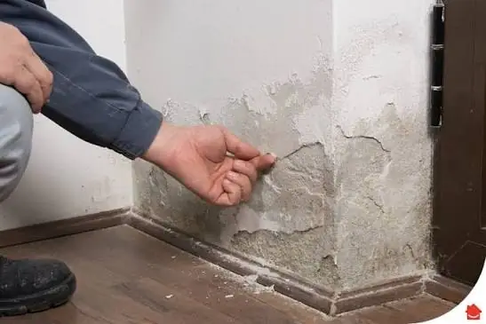 Common Dampness Prevention Mistakes: Diagnostic Failures & Structural Moisture Control