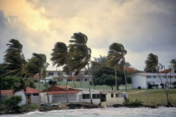 how to reduce hurricane repair expenses